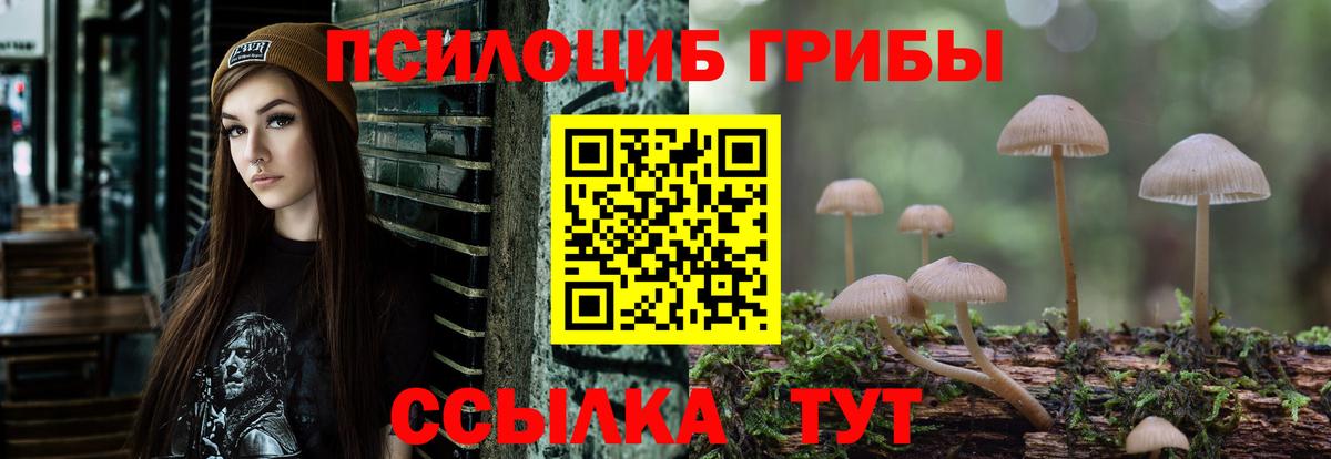 Галлюциногенные грибы прущие грибы Соликамск